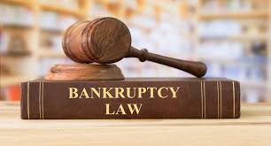 CBHA/ACHA Talk, Debt and Federalism: Landmark Cases in Canadian Bankruptcy and Insolvency Law, 1894-1937, Now Available for Viewing on YouTube